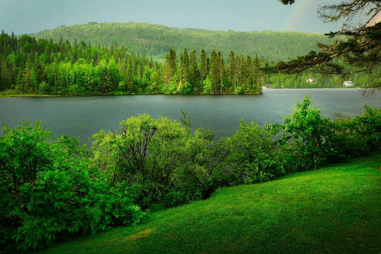 Tackling Biodiversity Loss: The Importance of Sustainable Hunting